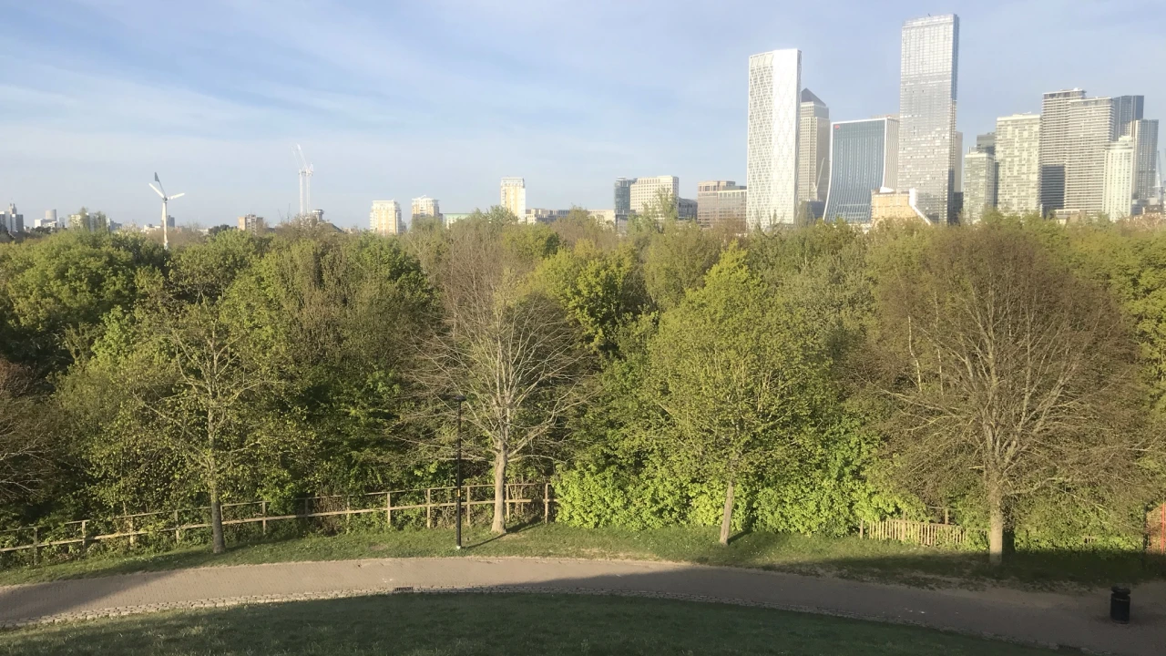 View from Stave Hill to Canary Wharf